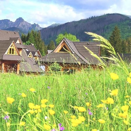 Krokus Park Residence Kościelisko Dış mekan fotoğraf
