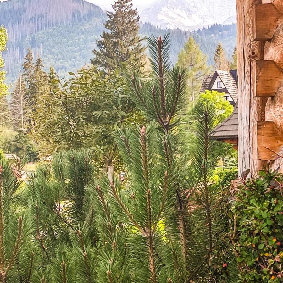 Krokus Park Residence Kościelisko Dış mekan fotoğraf