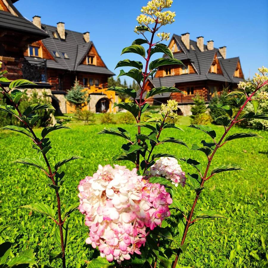Krokus Park Residence Kościelisko Dış mekan fotoğraf