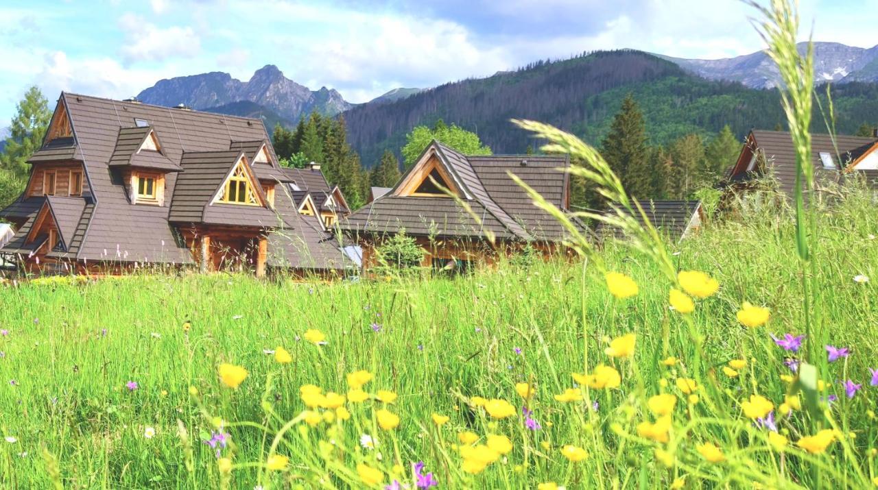 Krokus Park Residence Kościelisko Dış mekan fotoğraf
